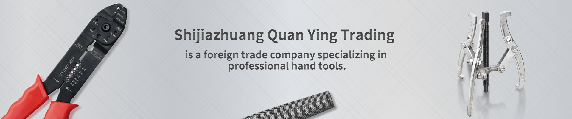 Shijiazhuang Quan Ying Trading Co., Ltd.